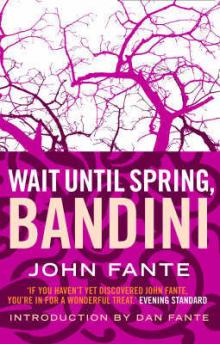 "Подожди до весны, Бандини" (американская обложка)